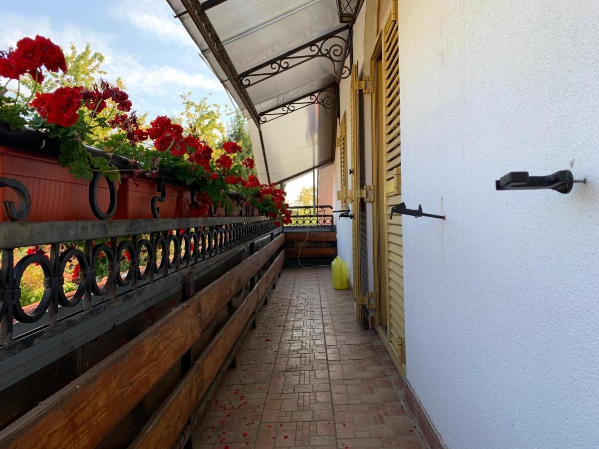 Domacinstvo Bakic ξενώνας Irig Εξωτερικό φωτογραφία
